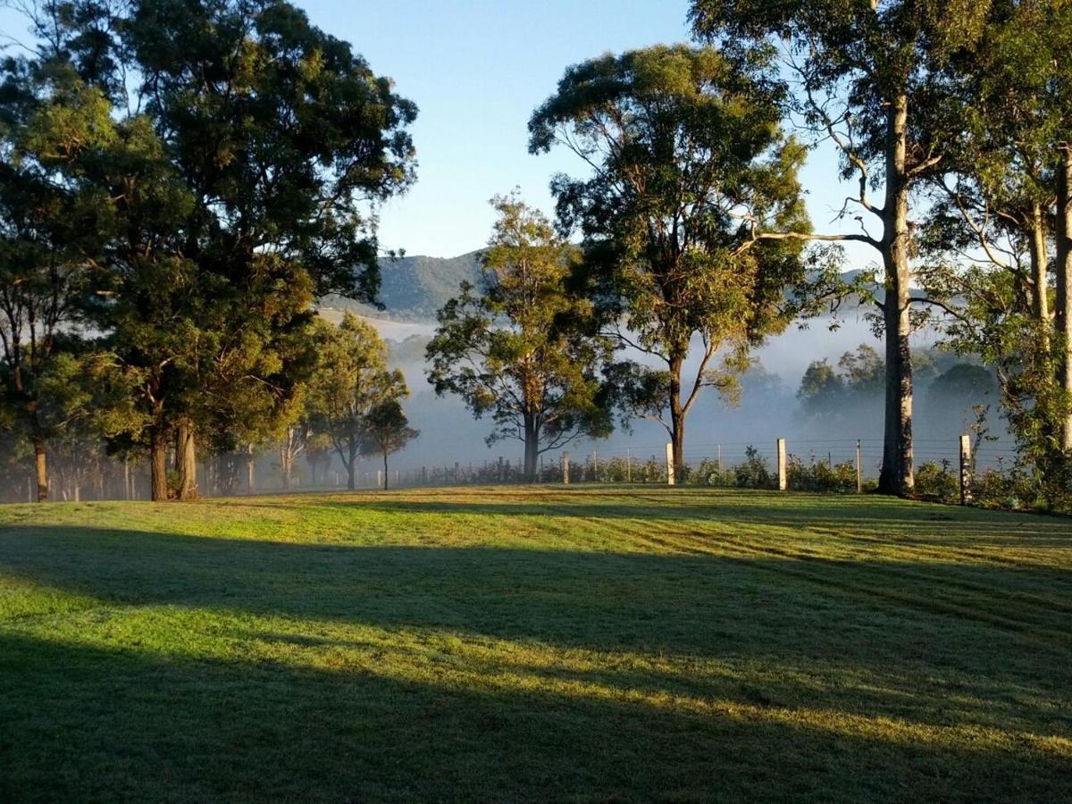 Elfin Hill Vineyard Accommodation Pokolbin Exterior foto