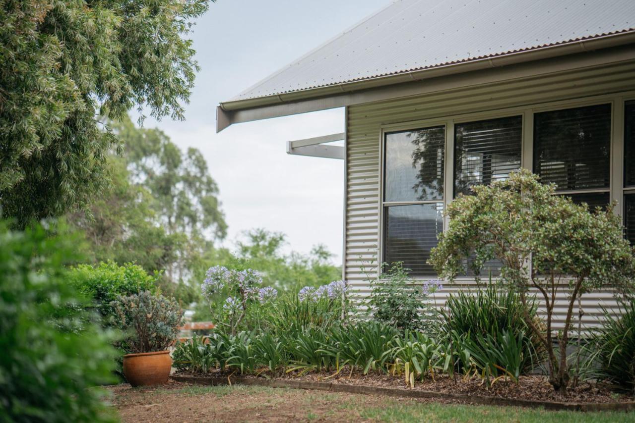 Elfin Hill Vineyard Accommodation Pokolbin Exterior foto